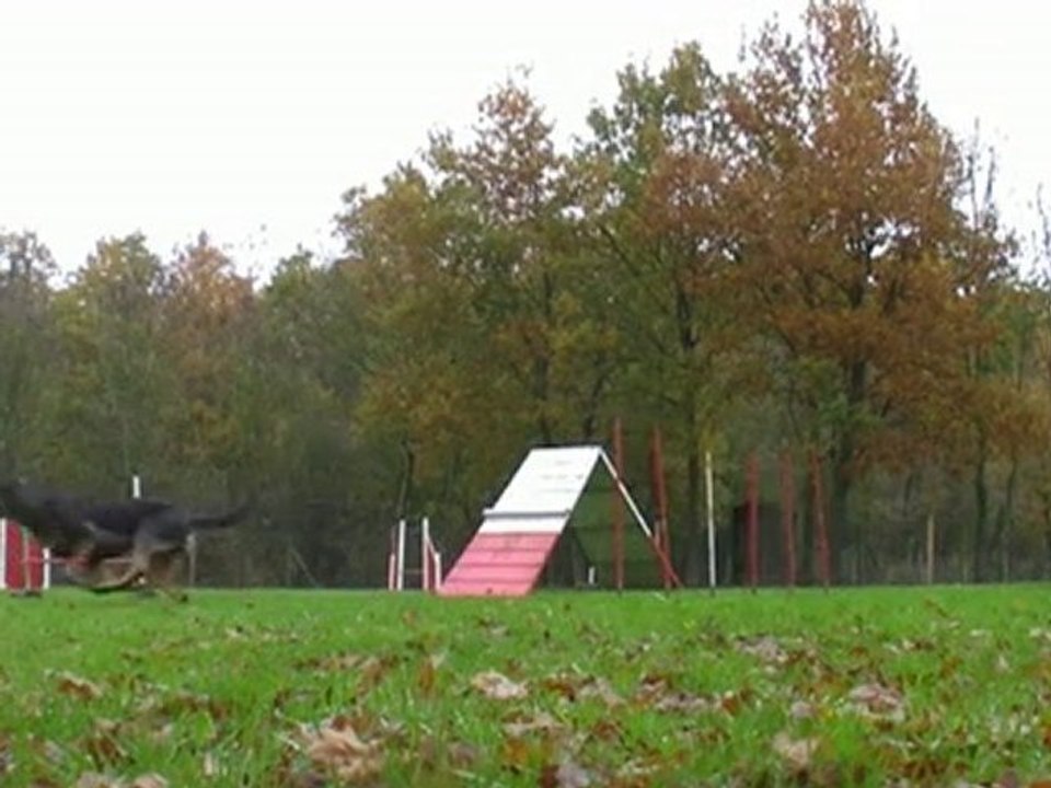 Sam slalom 6 piquets