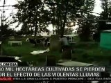 Colombia pierde 140 mil hectáreas de cultivos por lluvias