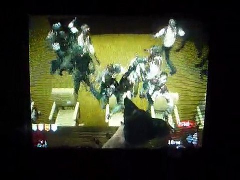 Call of Duty Black OPS : Zombies in Five