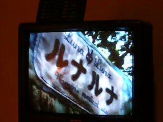 Publicité à la télévision japonaise - Kyoto 2010 -