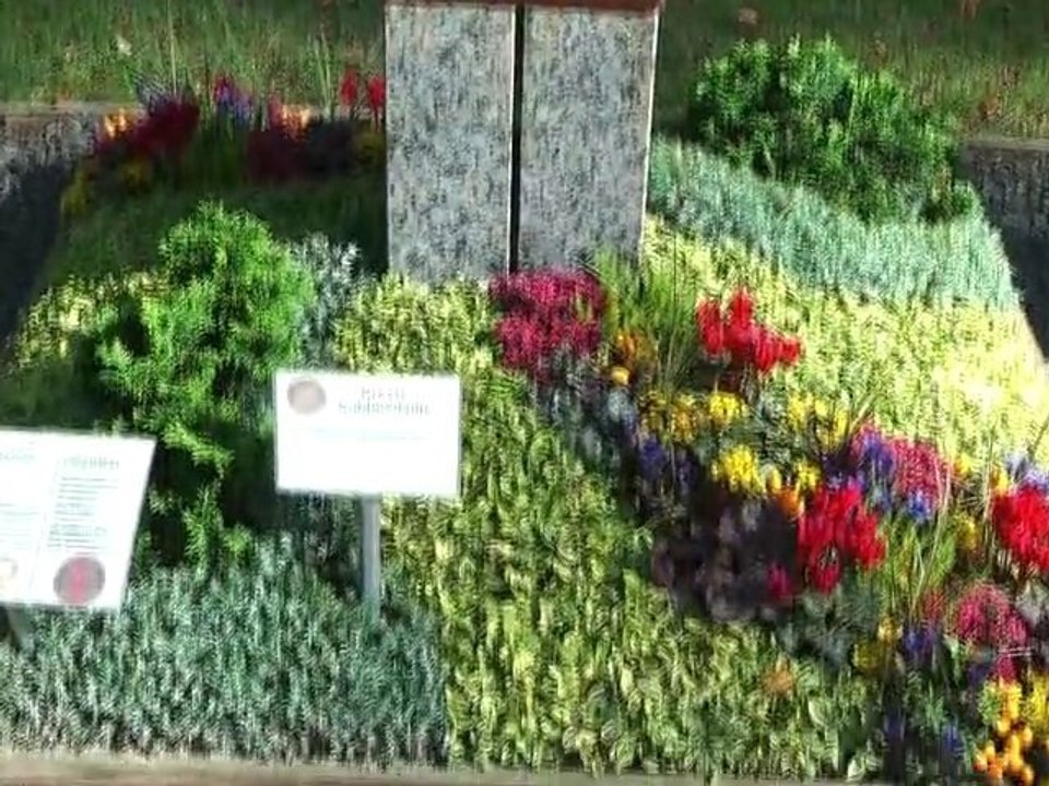 Schwärmen von schwerin