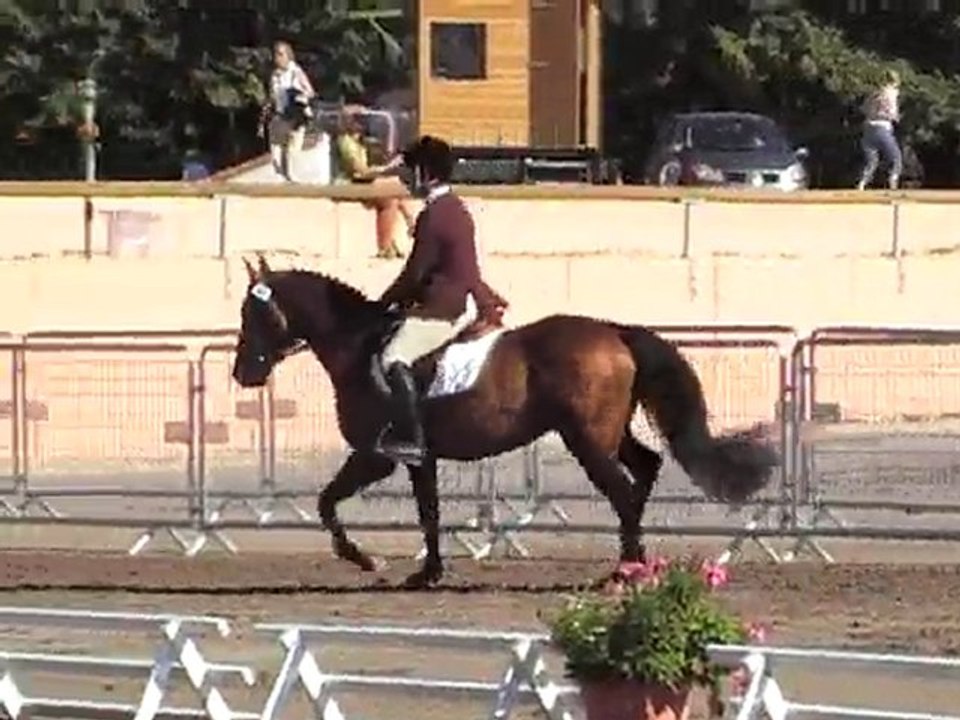 Tricky Choice Lamotte 2010