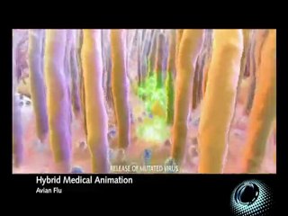 CINEMA 4D Demo Reel Siggraph 2008