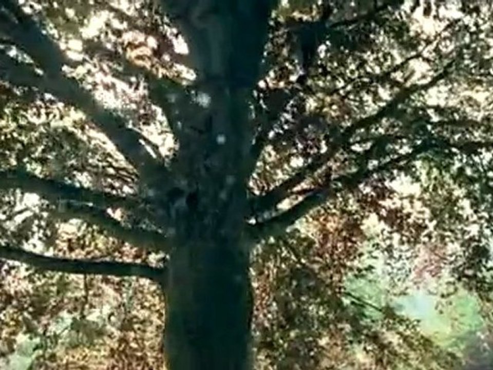 Nike reklamı : I am a runner ~ Nike commercial