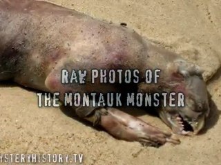 Cryptid Sighting Montauk Monster July 13 2008 UNSOLVED