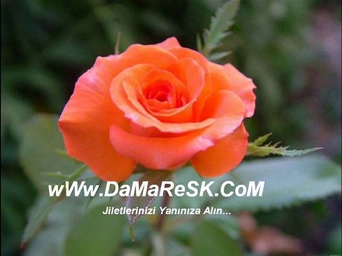 Akkuşlu Metin Sevenler Olmuş