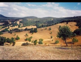 Akkuşlu Metin   Semah