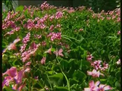 bizi affeyle aman Allahım