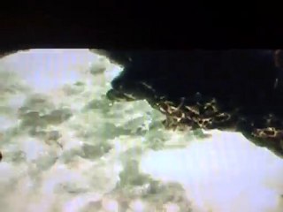 GodzEnergy (2)