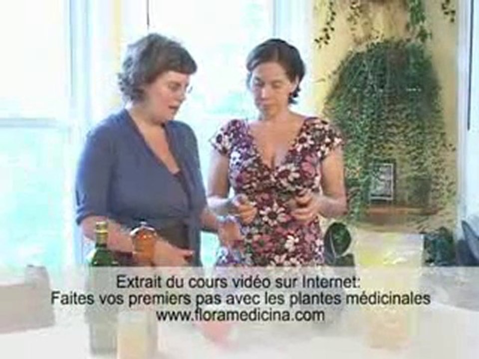 Plante médicinale - le curcuma (Curcuma longa)