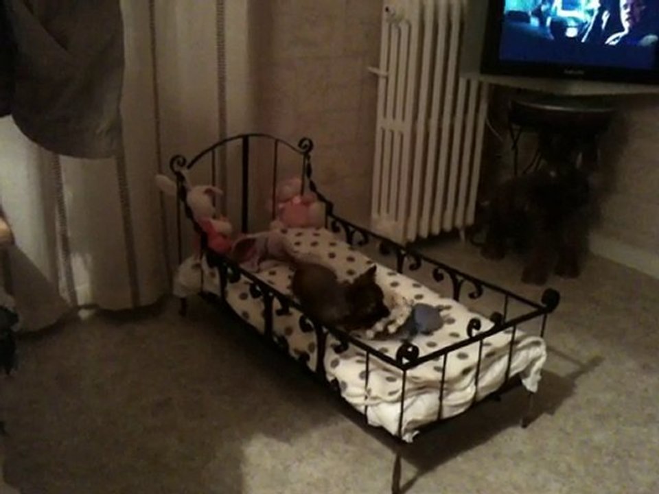 florentine et la girafe sophie