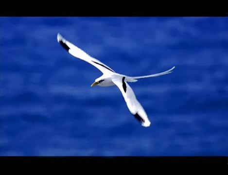 Marie armande moutou toi qui pars