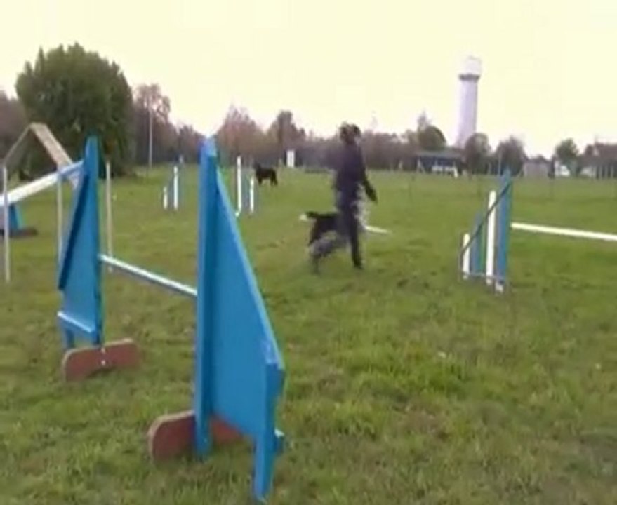 démo agility snoopy malhoreau vidéo 7