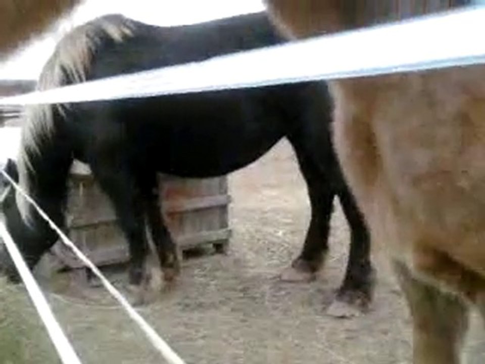 Vidéo0001