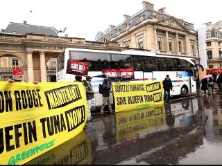 Pas de jour "off" pour sauver le thon rouge !