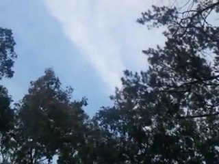 chemtrail footage nwo eugenics softkill program