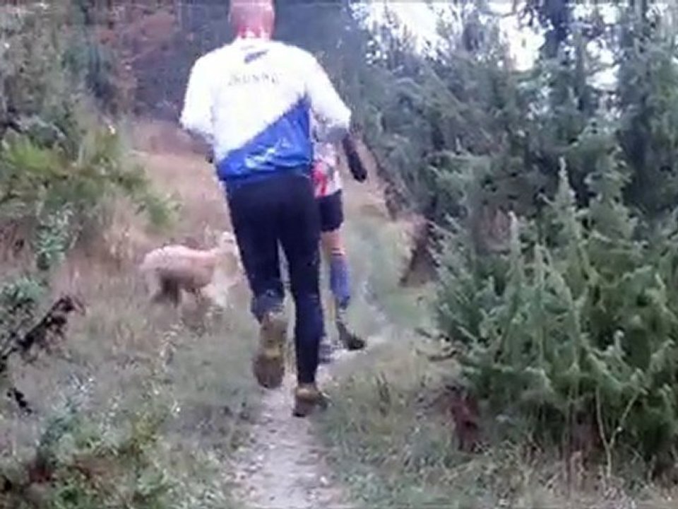 AUTHENTIC BARJOTS TRAIL - 1ère PARTIE