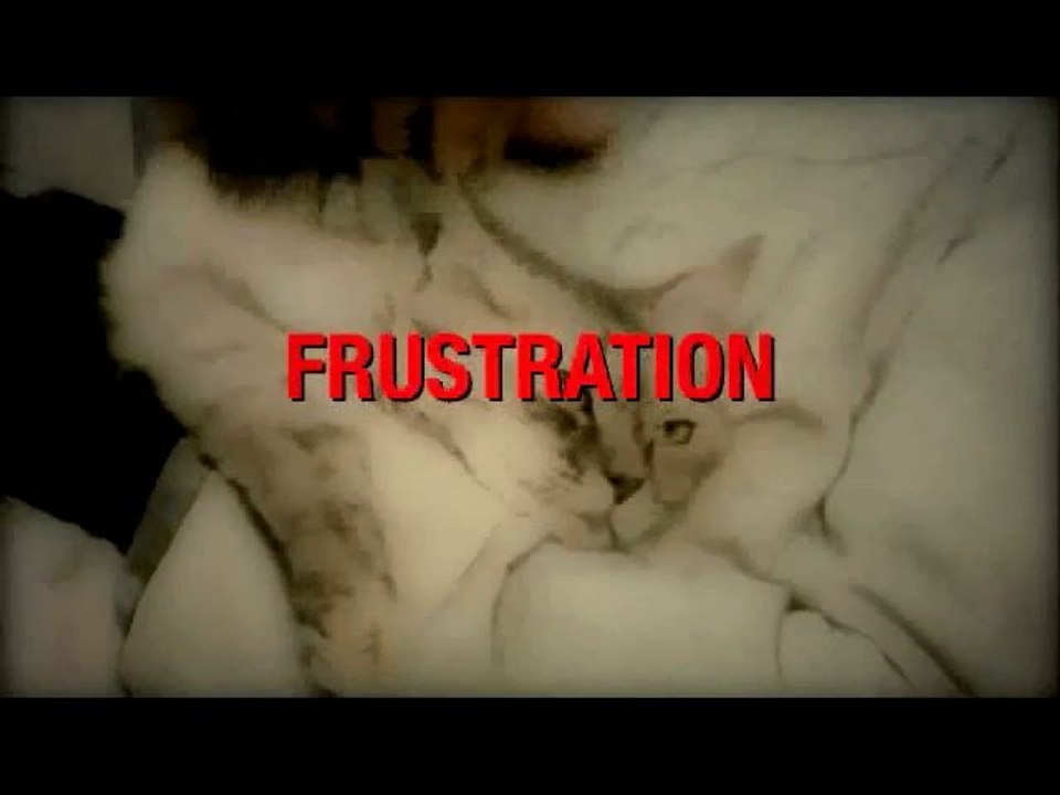 Frustration : Blind