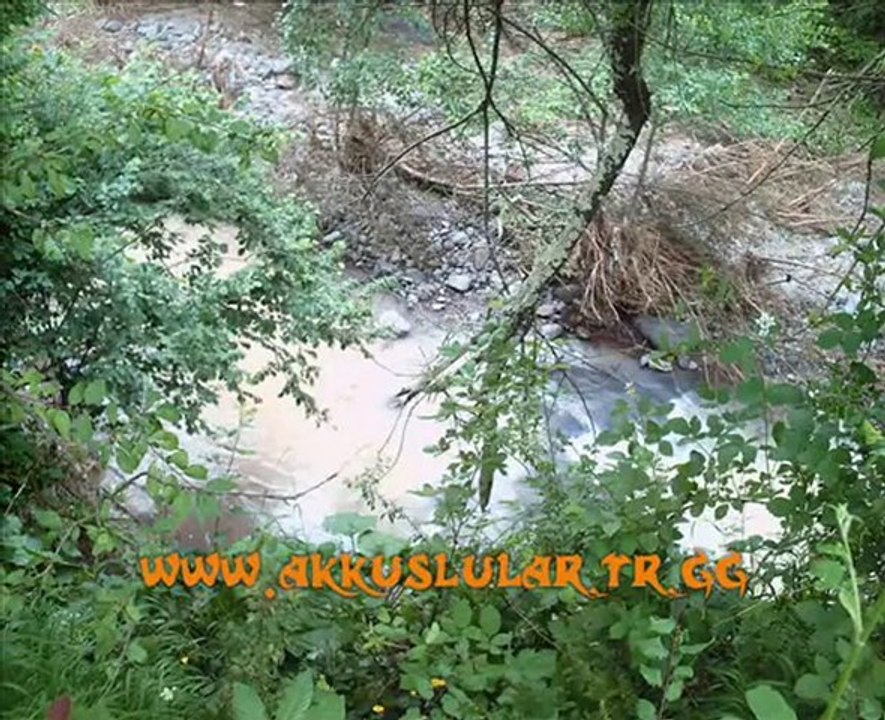 Akkuşlu Metin - Taşlı Dere Köprüsü