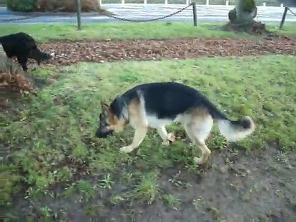 Les Halles de DECIZE 2010