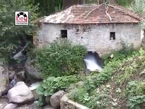 Argan Yaylası (Akkuşlu Metin)