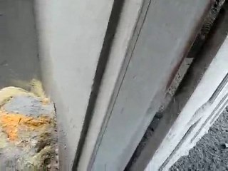 The Volunteers are paving the way