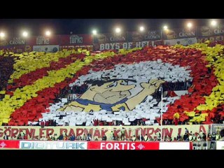 uA Grasetto Leoni (Samiyene Beste )