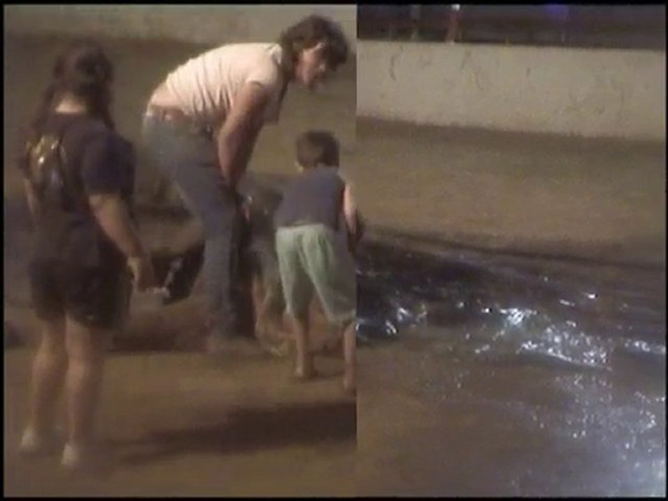 after toro piscine aout 2010 acte 1