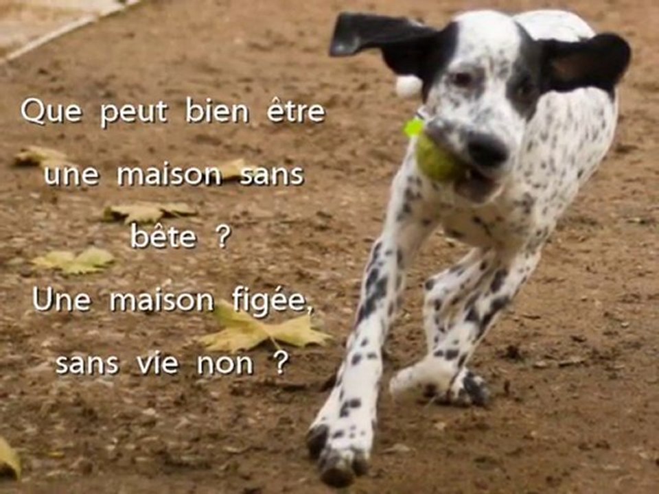 Flush la Flèche