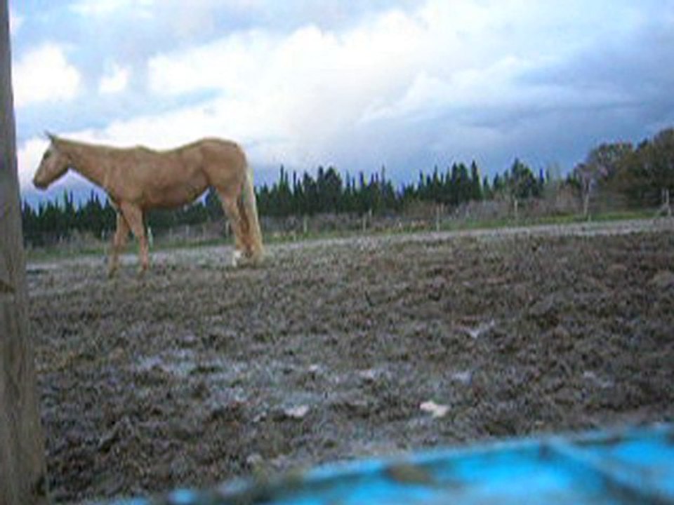 Pas espagnol glissant 2