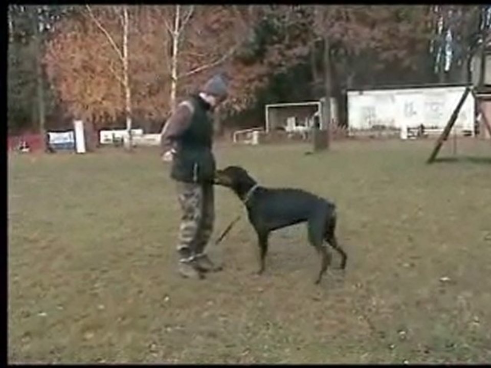 daicko entre obe 20112010