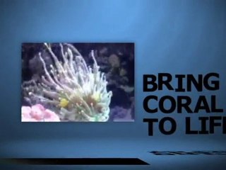 Aquarium Fish Tank Wave Maker, Wavemaker coral