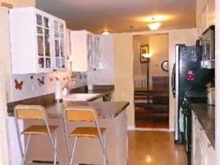 Homes for Sale - 1658 Commodore Ct - Schaumburg, IL 60193 -