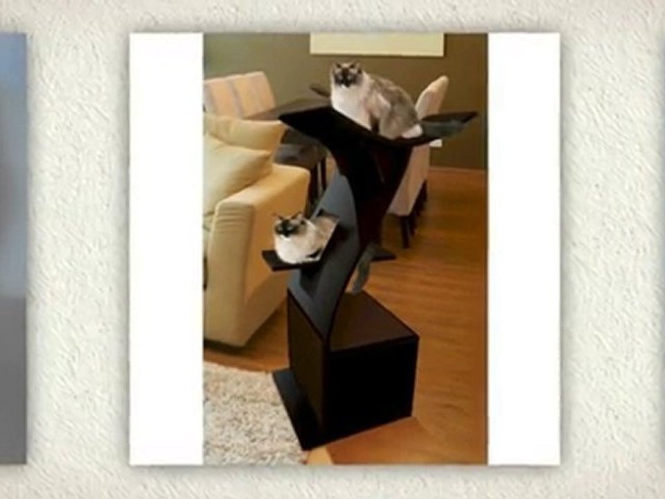 Cat Towers: Cat Towers for Discerning Felines