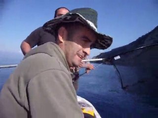 Torik 21.11.2010 Saros (İkinci torik:)