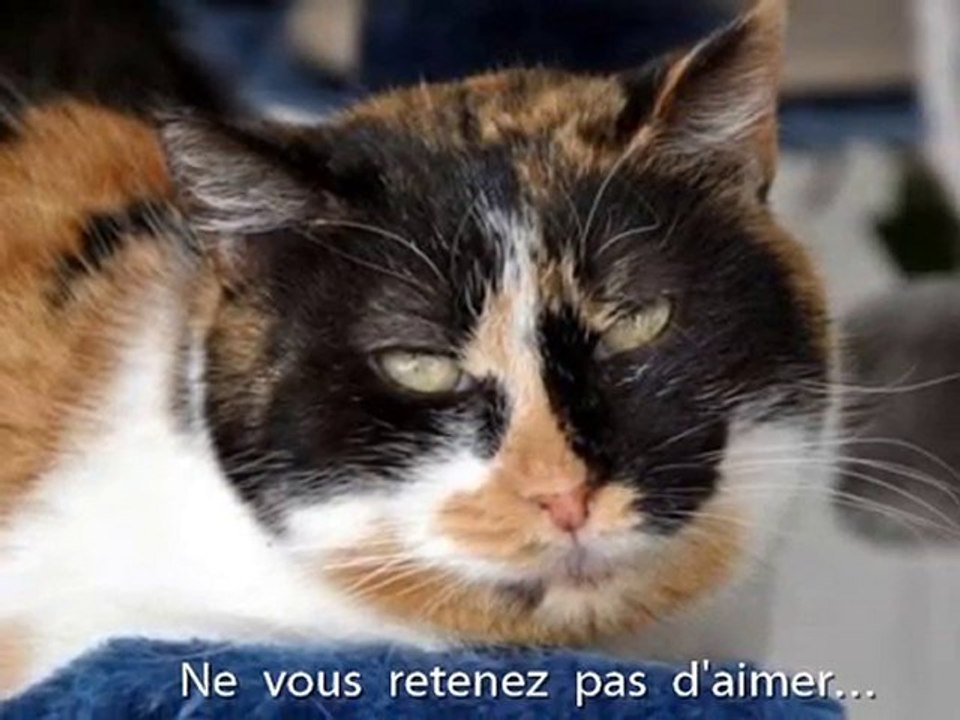 BERENICE à la faveur de l'automne...