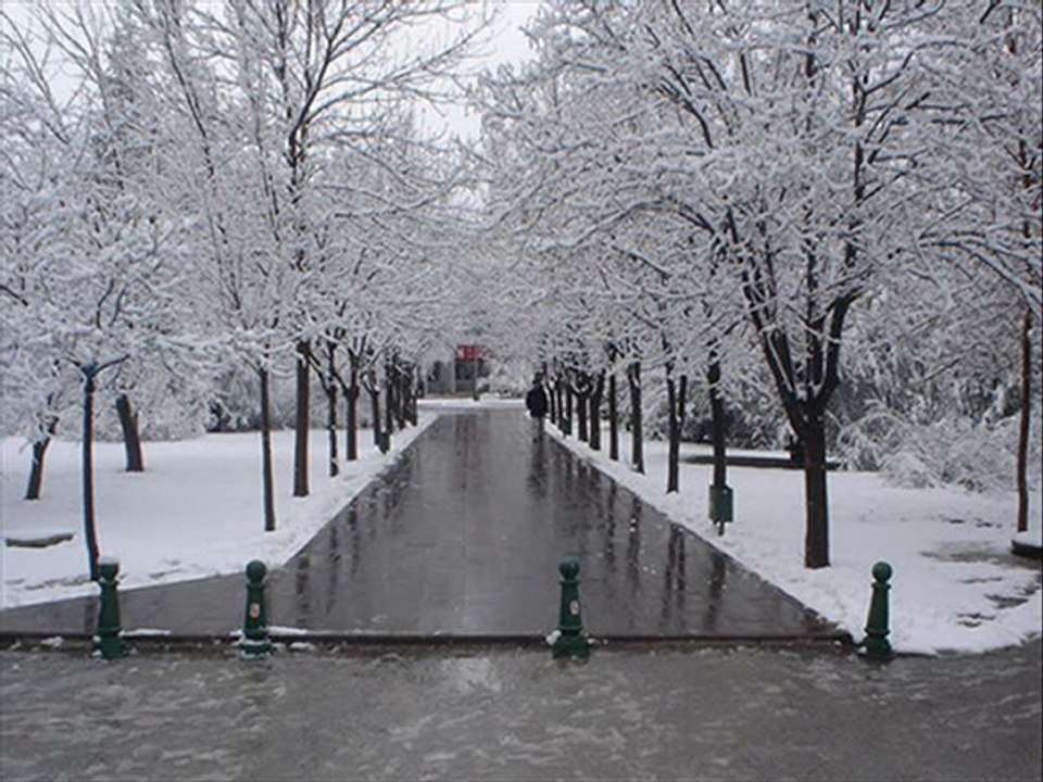 BEYTEPE songül karlı az bana gönder