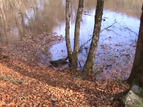 Sonbaharda Yedigöller Bolu - Seven Lakes in the fall of Bolu
