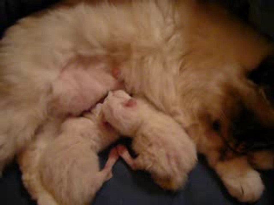 Bisou avec ses bebe