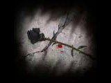 la rose noire jamel MEKTOUB feat Le Rat Luciano