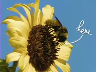 Innovations dans l'agriculture européenne ...