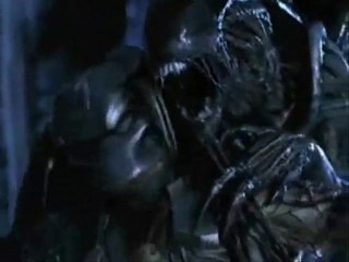 AVP - It was written