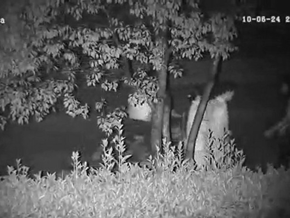 Kedacom IP CCTV Night Vision