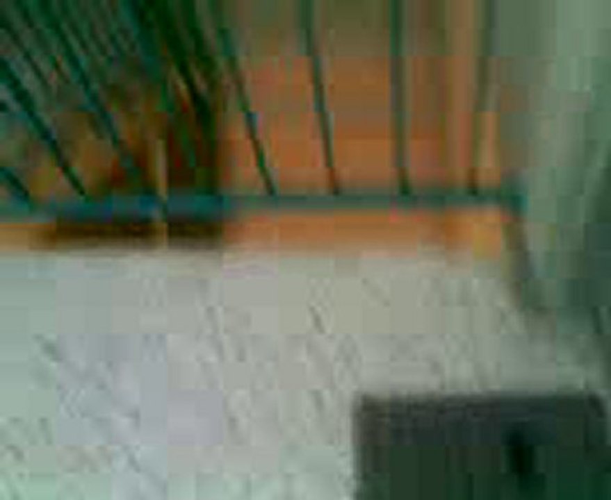 fidji , 5 mois en obérythmée !