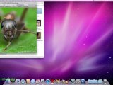 Подробный обзор Mac OS X - часть 1 из 4 - глава 2 - Окна