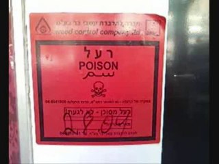 en hébreu, en arabe, en russe