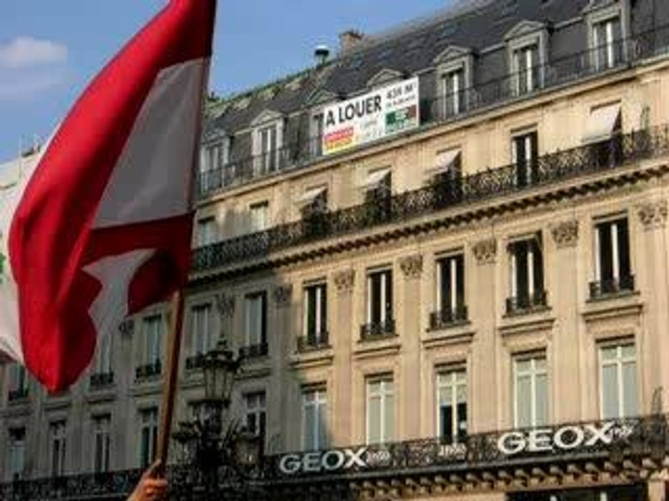 Manif Liban Paris