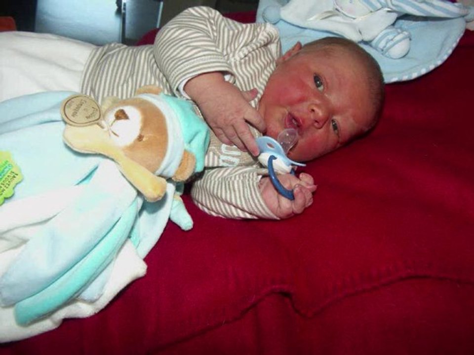 naissance nathan