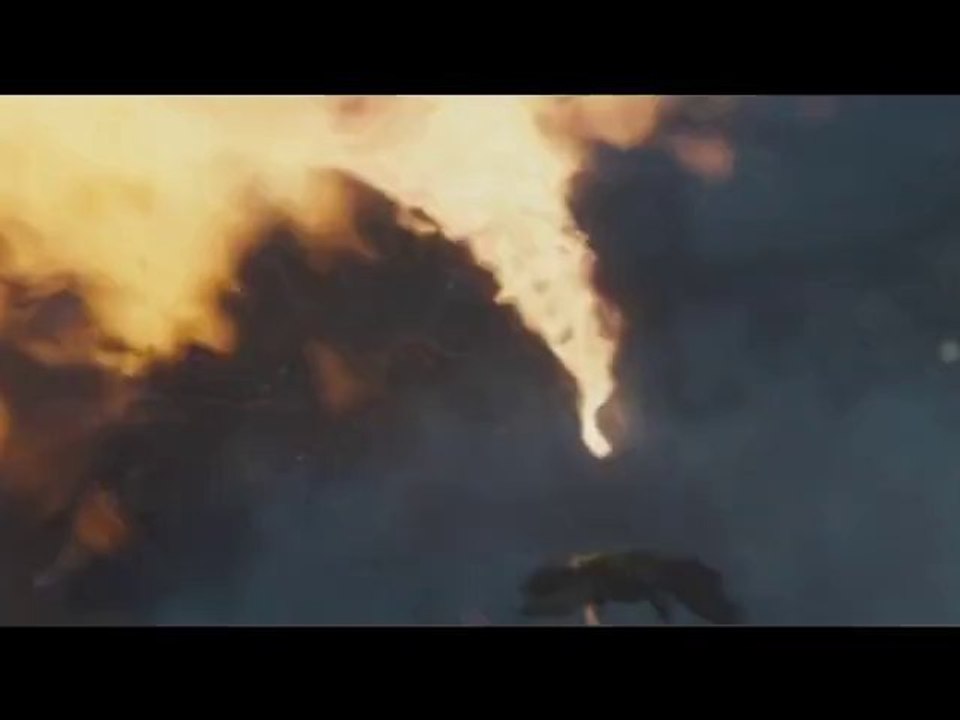 Harry Potter and the Deathly Hallows Part 1 Trailer