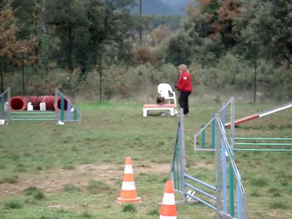 bambou 2° degré